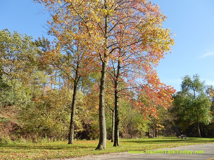 cleveland-metroparks-20111017-03