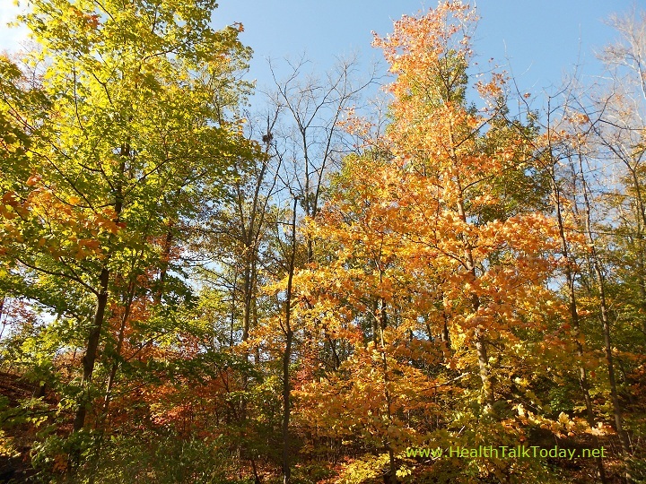 cleveland-metroparks-20111017-07