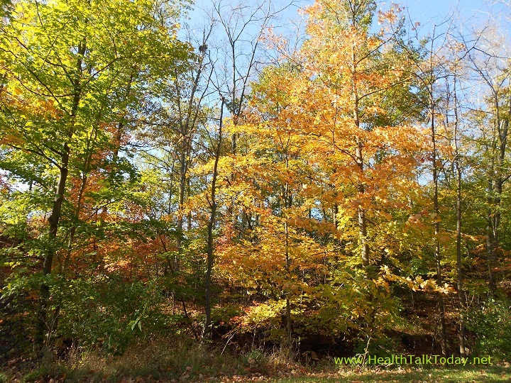 cleveland-metroparks-20111017-08