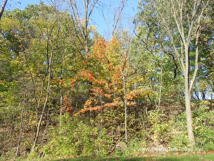 cleveland-metroparks-20111017-09