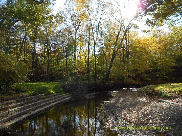 cleveland-metroparks-20111017-14