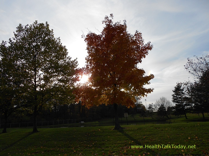 cleveland-metroparks-20111022-01