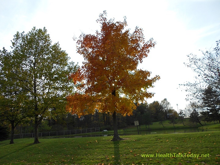 cleveland-metroparks-20111022-02