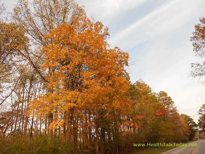 cleveland-metroparks-20111022-03