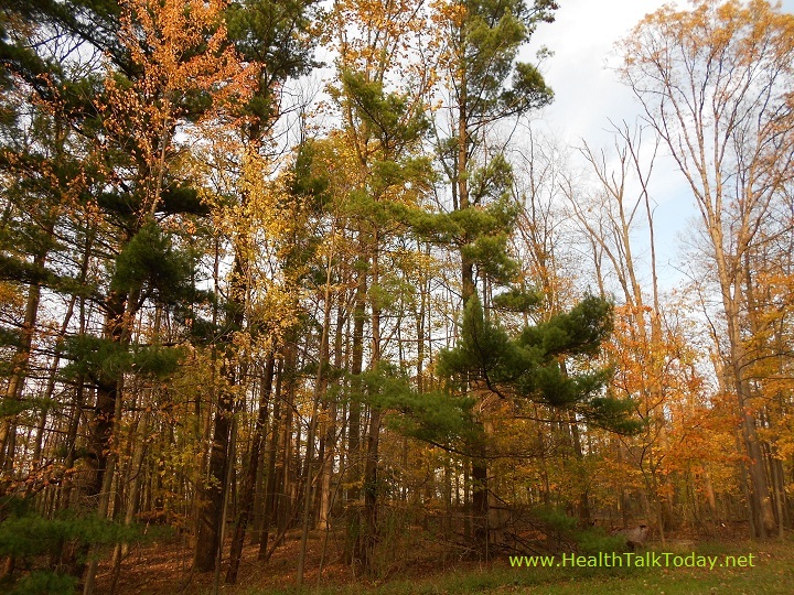 cleveland-metroparks-20111022-04