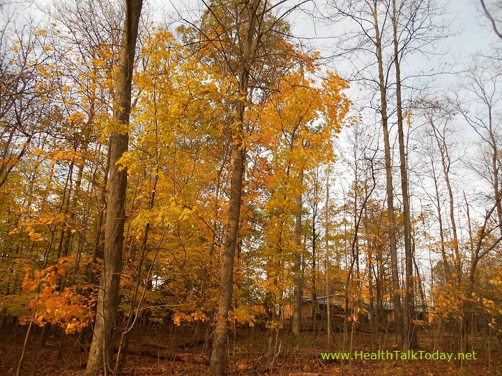 cleveland-metroparks-20111022-05