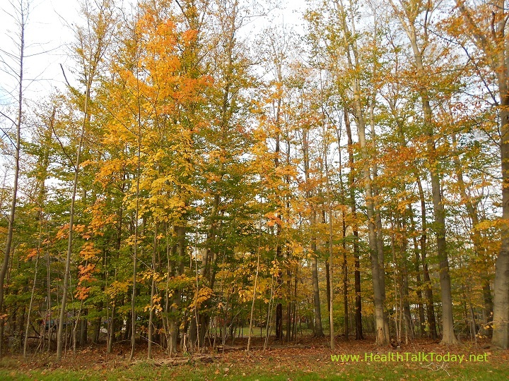 cleveland-metroparks-20111022-06