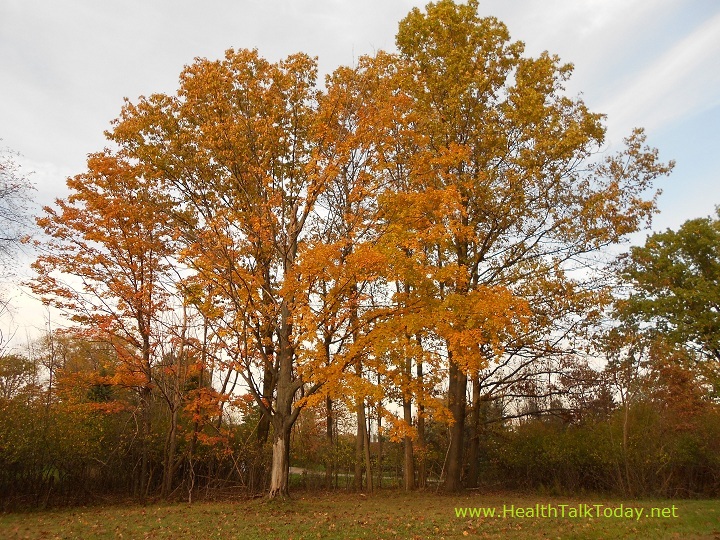 cleveland-metroparks-20111022-07