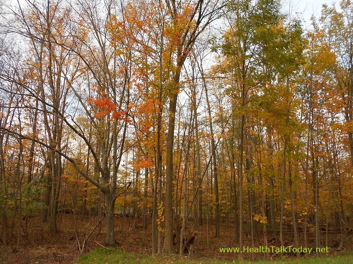 cleveland-metroparks-20111022-08