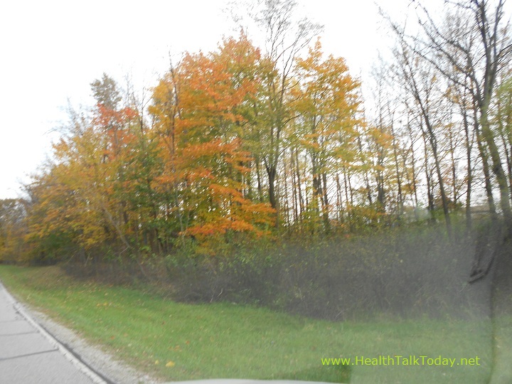 cleveland-metroparks-20111022-09