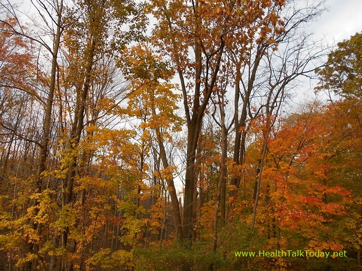 cleveland-metroparks-20111022-10