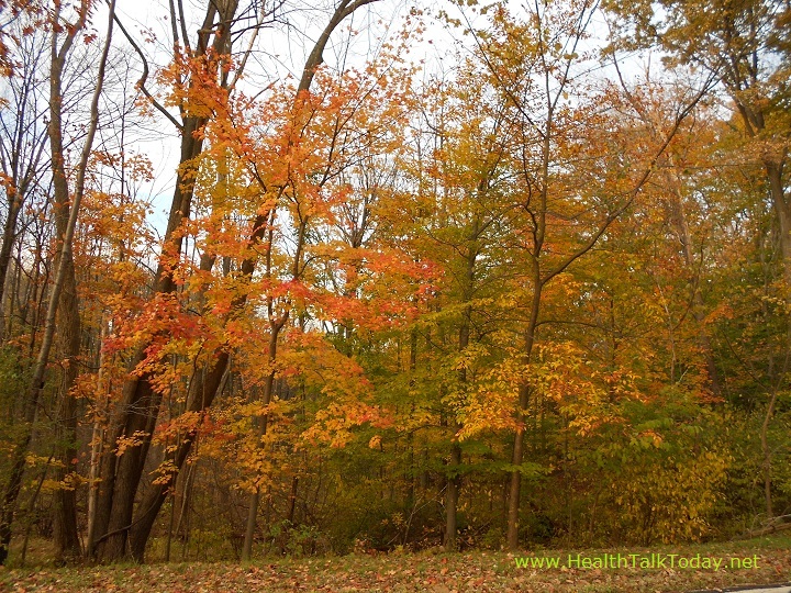 cleveland-metroparks-20111022-11