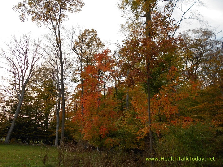 cleveland-metroparks-20111022-12