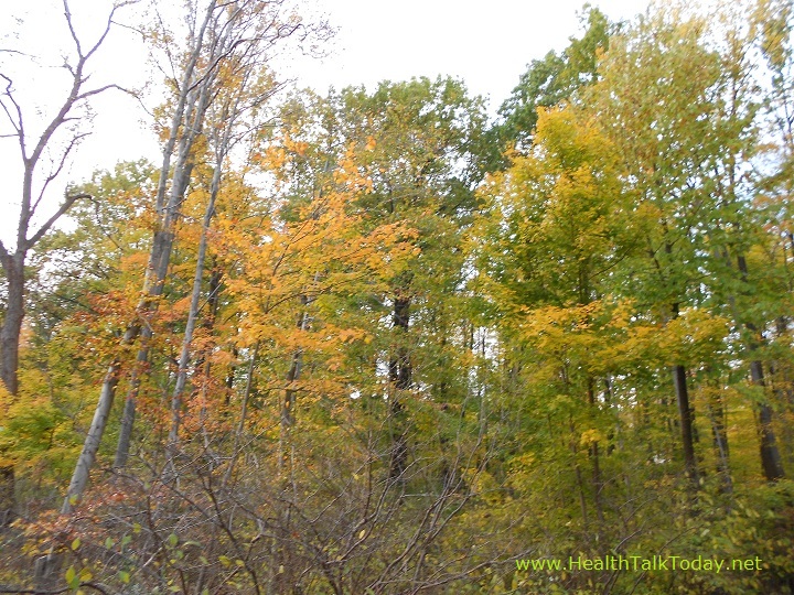 cleveland-metroparks-20111022-13