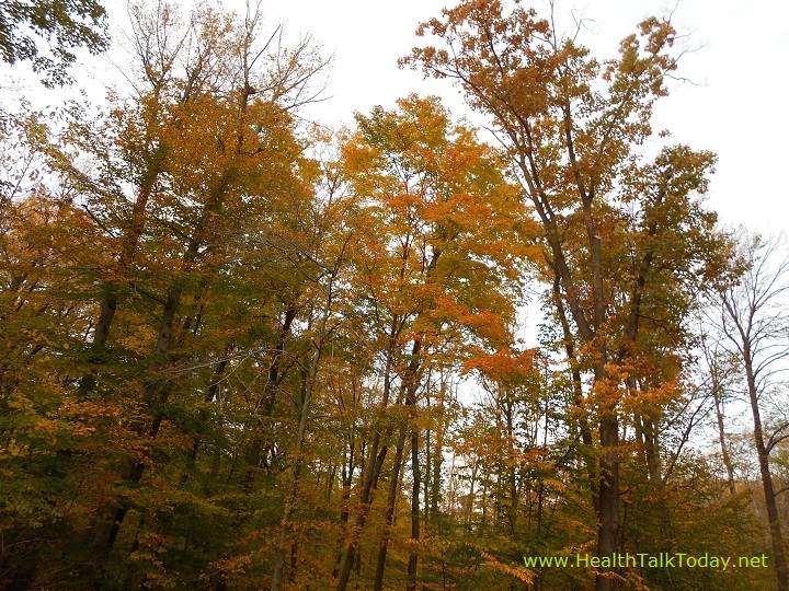 cleveland-metroparks-20111022-14