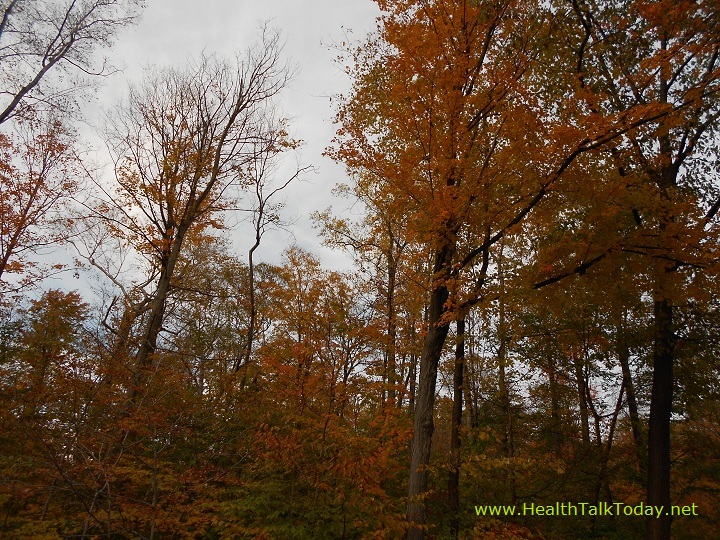 cleveland-metroparks-20111022-15