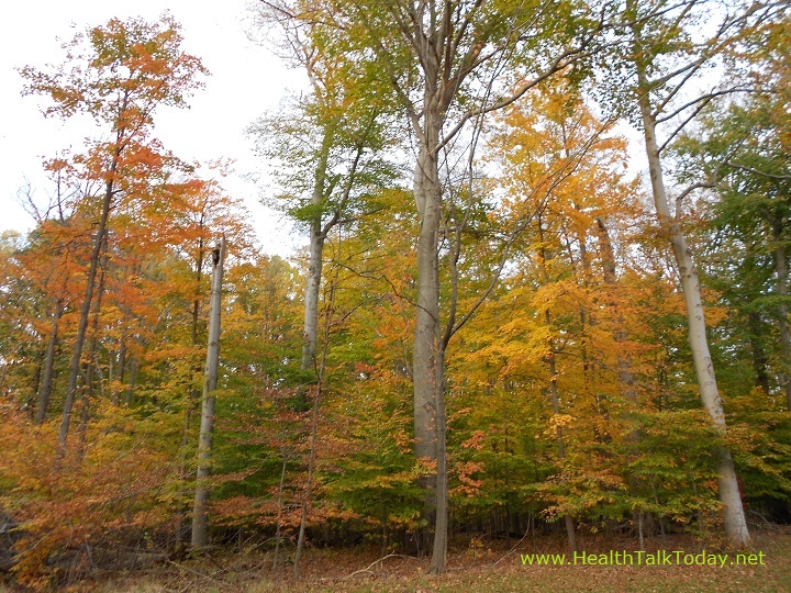 cleveland-metroparks-20111022-16