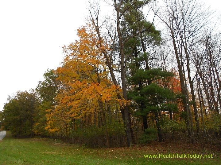 cleveland-metroparks-20111022-17