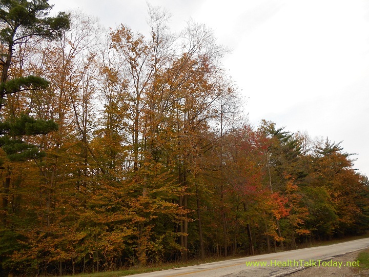 cleveland-metroparks-20111022-18