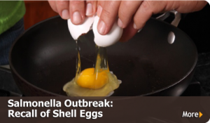 salmonellaoutbreakrecallofshelleggs