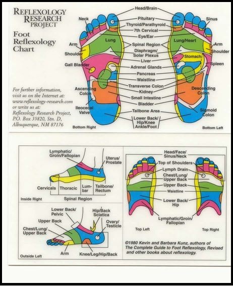 Reflexology Foot Chart and Interactive Map