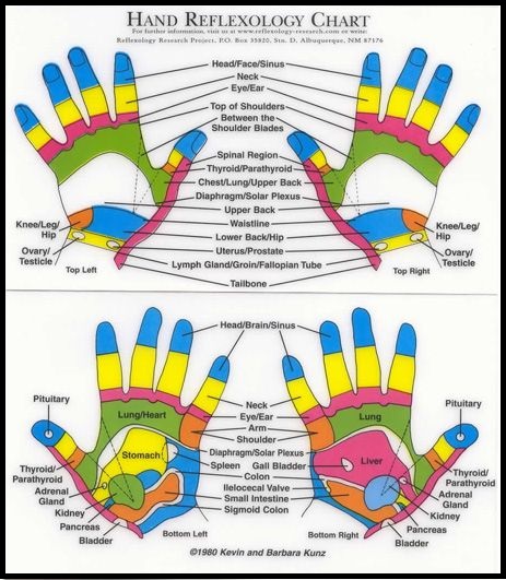 Reflexology Hand Chart and Interactive Map